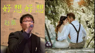 好想好想 / 赵薇 Karaoke【随心唱老歌】