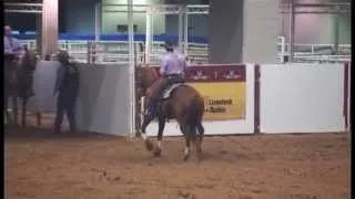 2013 AQHA Cowboy Mounted Shooting Open World Champion