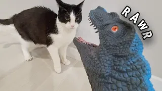 Cat's Reaction to Dinosaur