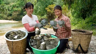 Single girl and her sister harvest turtles and stream fish - Go to Lam Binh market to sell goods