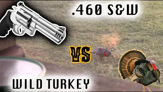 .460 VS. Wild Turkey