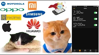 KITTEN MEOWS and CUTE CAT MEOWS UWU but mobile alarms