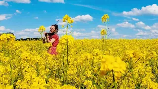 Country Roads in the country side - John Denver - Kirsti Hille - Violin Cover - Country Roads