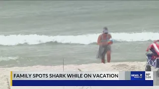 Hammerhead shark thrashes in water at Orange Beach