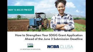 How to Strengthen Your SDGG Application Ahead of the June 3 Submission Deadline