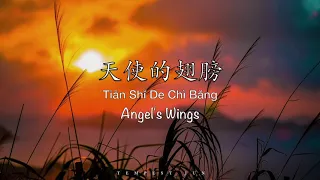 天使的翅膀 Angel's Wings [徐誉滕 Xu YuTeng] - Chinese, Pinyin & English Translation 歌词英文翻译
