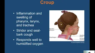 Ch  15 Respiratory Emergencies