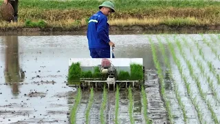 Bé trai 4 tuổi giúp bố dùng máy cấy - Rice Transplanting Machine