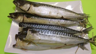 Самый лучший СПОСОБ ЧИСТКИ СКУМБРИИ /how to clean mackerel