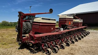 Planting Driveway Beans