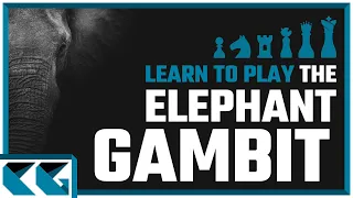 Chess Openings: Learn to Play the Elephant Gambit!