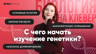 С чего начать изучение генетики?   | БИОЛОГИЯ ЕГЭ | Лина Клевер