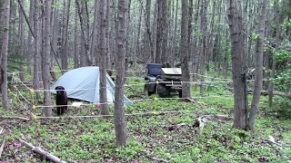 Make Your Own Camp Bear Fence