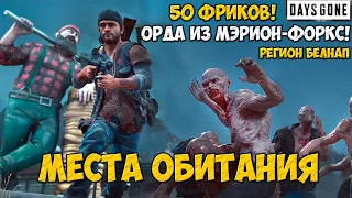 Орда из Мэрион-Форкс(Marion Forks). 50 Фриков. Белнап. Места обитания. #daysgone #horde #marion