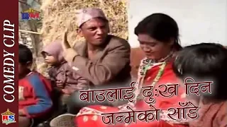 बाउलाई दु ख दिन जन्मेको साँडे || Nepali Comedy Clip || Dhurmus Suntali