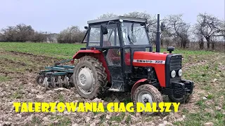 | DALSZE ZMAGANIA Z TALERZOWANIEM 🔥| URSUS 3512 W AKCJI 🚜| AGRO_JACA |