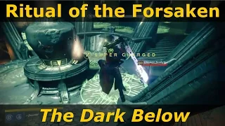 Destiny Walkthrough: How to beat Ritual of the Forsaken, Eris Morn Urn Bounty, the Dark Below