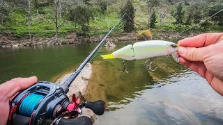 MURRAY COD FISHING with DRT TiNY KLASH