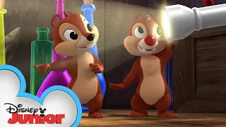 Mickey's Fireworks Fizzle | Chip 'N Dale's Nutty Tales | Disney Junior