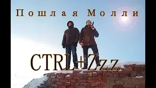 Пошлая Молли CTRL+Zzz (ПАРОДИЯ)