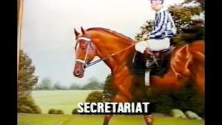 The Life and Times of Secretariat  An American Racing Legend  October 12, 1990 Summit Post Tulsa