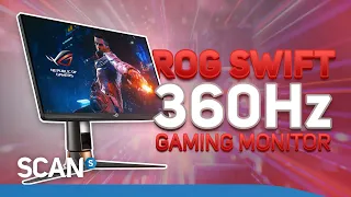 360Hz Gaming is HERE! ASUS ROG PG259QN - Product Overview