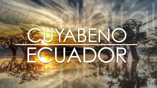 Cuyabeno Amazon Jungle Tour - Ecuador in 4K