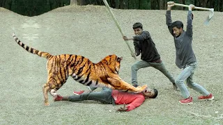 Tiger Attack Man in Forest | Royal Bengal Tiger Attack Fun Made Movie part 3