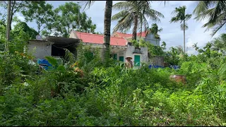 Help the elderly couple clean the garden Shocking transformation - Cleanup Overgrown