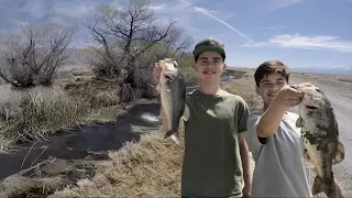 We Find Huge Bass in this Tiny Canal! - Fishing Trip VLOG - Vid 2