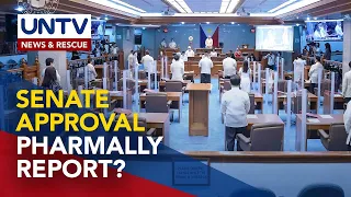 Blue Ribbon report sa Pharmally probe, posible pa ring ma-adopt ng Senado — Sen. Hontiveros