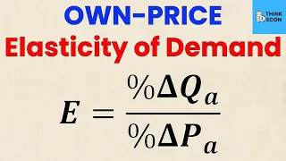 HOW TO Calculate the Own-Price Elasticity of Demand | Economic Homework | Think Econ