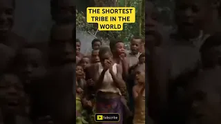 The shortest tribe in the world. The African Pygmies