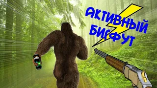 АКТИВНЫЙ БИГФУТ