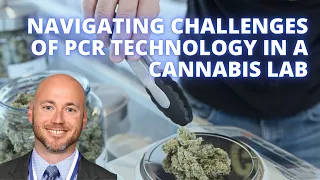 Navigating Challenges Associated with PCR Technology in a Cannabis Lab