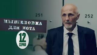 Мышеловка для кота - 12 серия | Сериалы 2020