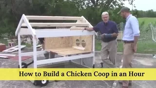 How to Build a Chicken Coop in an Hour
