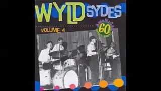 Various ‎– Wyld Sydes Vol 4 : 60's Garage Punk Fuzz Rock Pop Music Bands Sixties Compilation