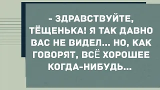 - Здравствуйте, тëщенька! Я так давно вас не видел... Смех! Юмор! Позитив!