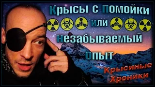 Спасение | Крысы с помойки, или незабываемый опыт! (Fancy Rats | Декоративные крысы)