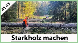 Fichte Starkholz Durchmesser 60cm aufwärts - Endlich geht’s los im Wald