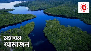 আমাজন বন | কি কেন কিভাবে | Amazon Rainforest | Ki Keno Kivabe