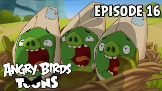 Angry Birds Toons | Double Take - S1 Ep16