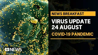 Coronavirus update 24 August - Dozens of hotspots identified in South-East Queensland | ABC News