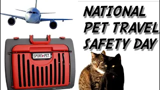 National Pet Travel Safety Day ~ EduCATional Video ~ Best Cat Carrier ~ SportPet ~ Cats