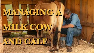 The Milk Cow, Part 2 - The FHC Show, ep 35