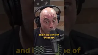 Joe Rogan Remembers Salvia