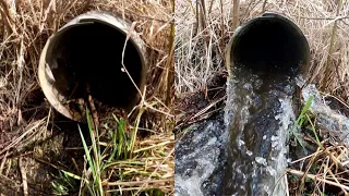 “PIPE EXPLOSION” Unclogging Culvert After 10 Years, Beaver Dam Removal !