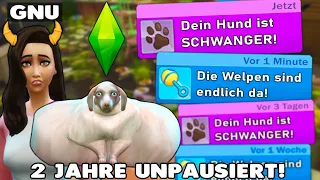 Ich lasse meine Sims Hündin 2 Jahre unpausiert alleine mit 3 Rüden! Sims 4