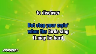 Paul Carrack - Don't Let The Sun Catch You Crying - Karaoke Version from Zoom Karaoke